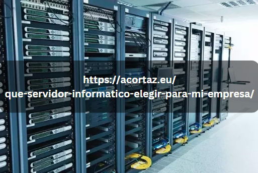 https://acortaz.eu/que-servidor-informatico-elegir-para-mi-empresa/